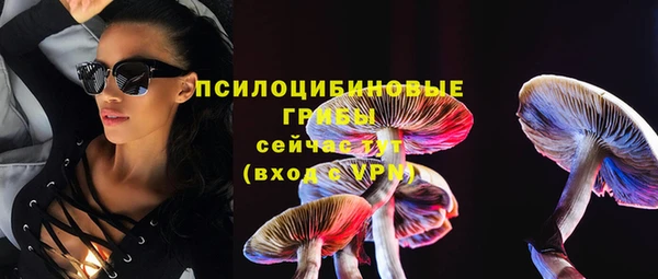 а пвп мука Богородск