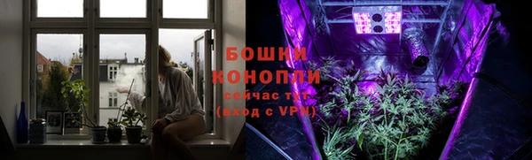 амф Богданович