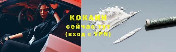 амф Богданович