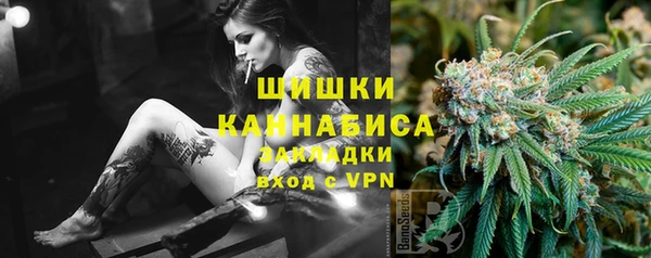 амф Богданович