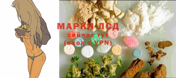 амф Богданович